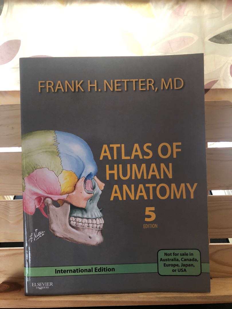 Atlas of Human Anatomy - Frank Netter, Hobbies & Toys, Books ...