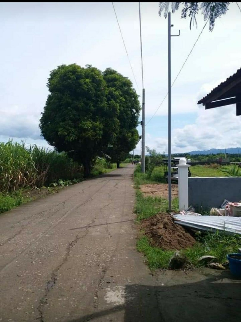 (Category: ) located in . Submitted by elianasph (Listing ID 1047498444, Image 1). Description: .
