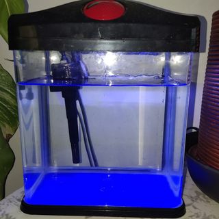 (Category: ) located in . Submitted by jess1024 (Listing ID 1047395487, Image 1). Description: .