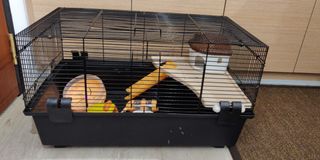 (Category: ) located in . Submitted by shazzling (Listing ID 1047494552, Image 1). Description: .