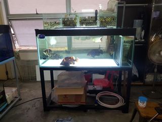 (Category: ) located in . Submitted by ahboy79 (Listing ID 1047627315, Image 1). Description: .