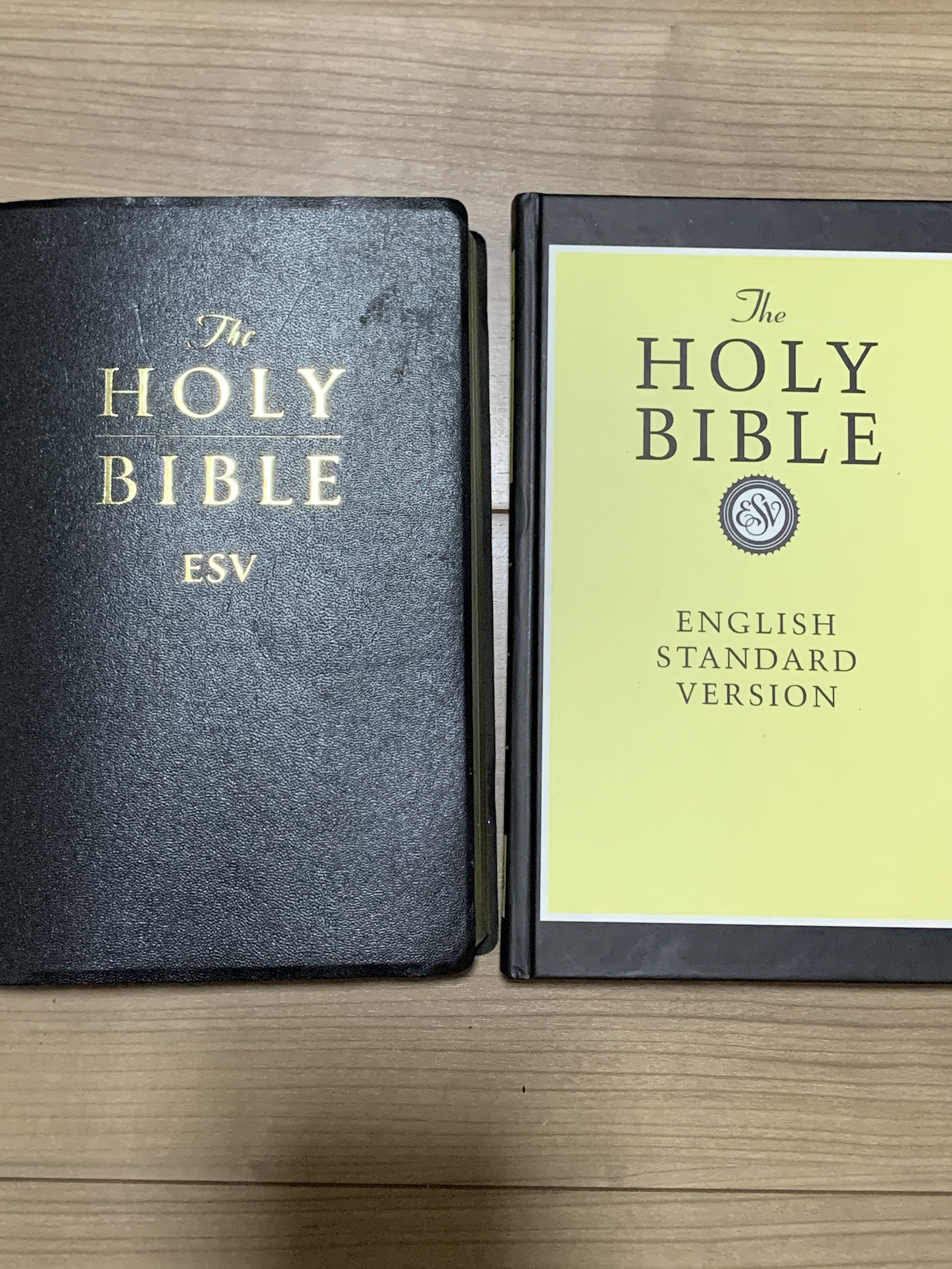Holy Bible ESV, Hobbies & Toys, Books & Magazines, Fiction & Non
