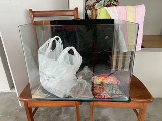 (Category: ) located in . Submitted by alibaba_888 (Listing ID 1047601455, Image 1). Description: .