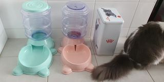 (Category: ) located in . Submitted by iana (Listing ID 1047594321, Image 1). Description: .