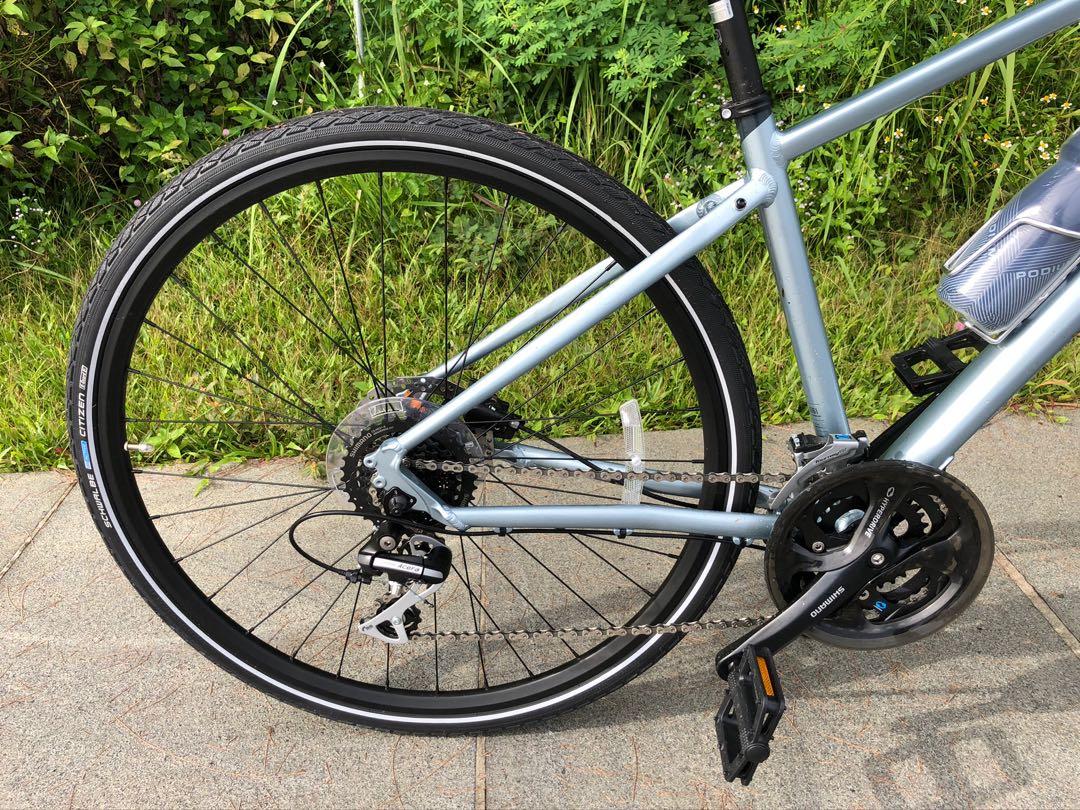 Ridgeback vanteo 2025