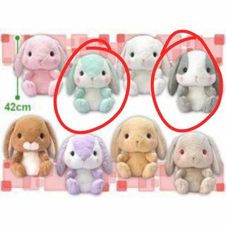 (Category: ) located in . Submitted by houseofplush (Listing ID 1047722992, Image 1). Description: .