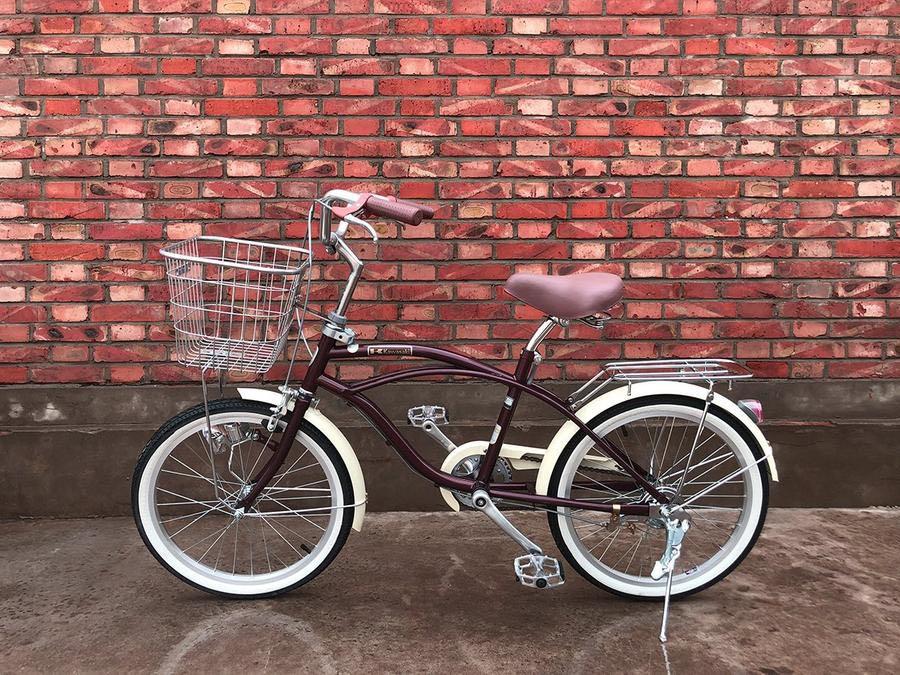 6 speed 2025 beach cruiser