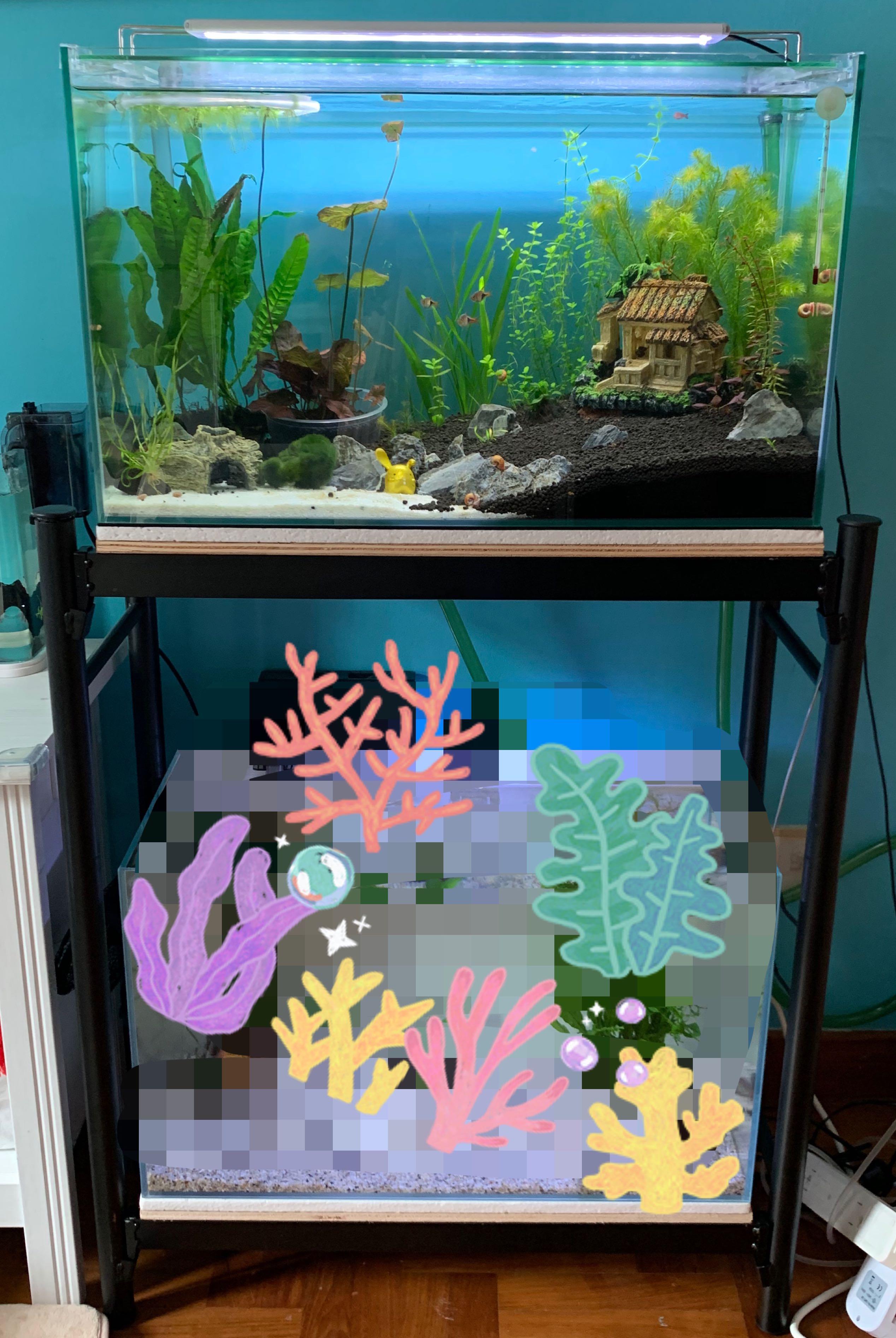 2 feet aquarium best sale decoration