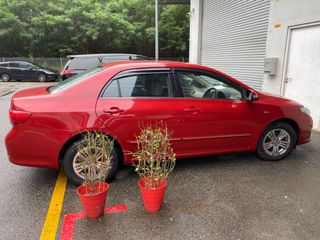 (Category: ) located in . Submitted by elitesperformance (Listing ID 1048017971, Image 1). Description: .