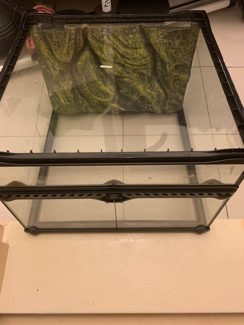 Exo terra terrarium small/low, Pet Supplies, For Small Animals, Other Supplies on Carousell