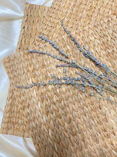 HANDWOVEN SEAGRASS PLACEMATS