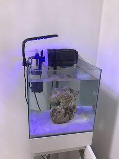 Nano Tank for sale