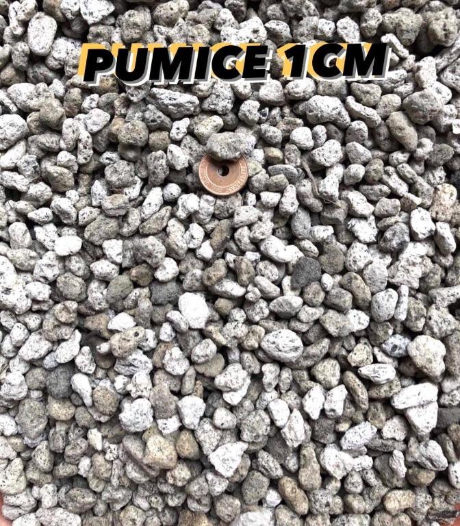 Pumice Stones (Category: Gardening Tools & Ornaments) located in Manila. Submitted by claudiajarsclaypots.plants (Listing ID 238865312, Image 3). Description: Pumice Stones for gardening (soil conditioner or soil decorations) & aquarium filter media. Sizes: smallest to biggest 🔴 Matang Hito- ₱220 per sack (approx 20-22 kg) 🔴 Monggo- ₱200 per sack (approx 18-20 kg) 🔴 1cm- ₱200 per sack (approx 18-20 kg) 🔴 Corn- ₱200 per sack (approx 18-20 kg) 