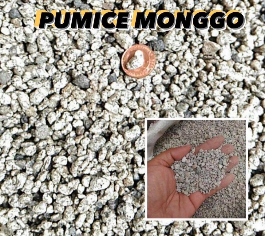 Pumice Stones (Category: Gardening Tools & Ornaments) located in Manila. Submitted by claudiajarsclaypots.plants (Listing ID 238865312, Image 2). Description: Pumice Stones for gardening (soil conditioner or soil decorations) & aquarium filter media. Sizes: smallest to biggest 🔴 Matang Hito- ₱220 per sack (approx 20-22 kg) 🔴 Monggo- ₱200 per sack (approx 18-20 kg) 🔴 1cm- ₱200 per sack (approx 18-20 kg) 🔴 Corn- ₱200 per sack (approx 18-20 kg) 