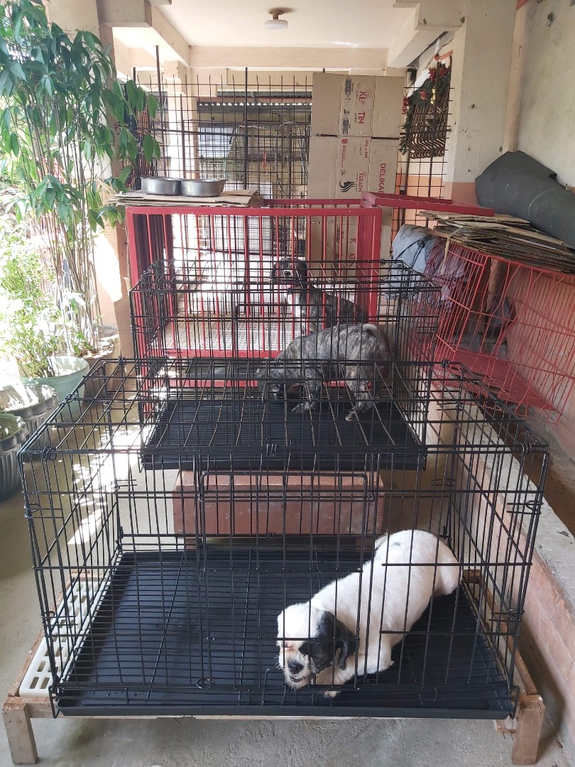 Xl top dog cage