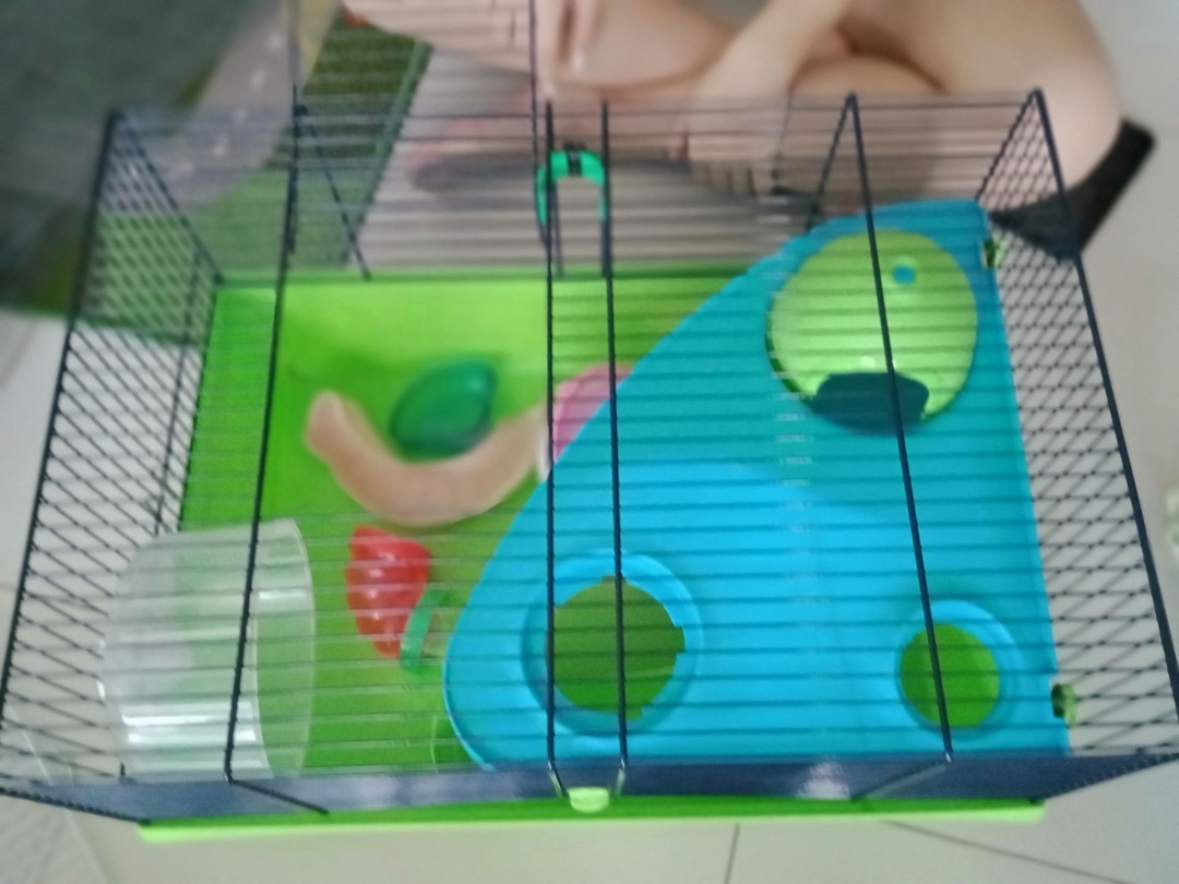 hamster travel cage