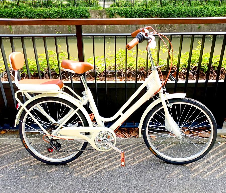 vintage adult bike