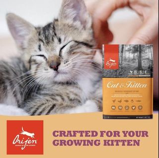 (Category: ) located in . Submitted by pets.r.us.manila (Listing ID 1052886287, Image 1). Description: .