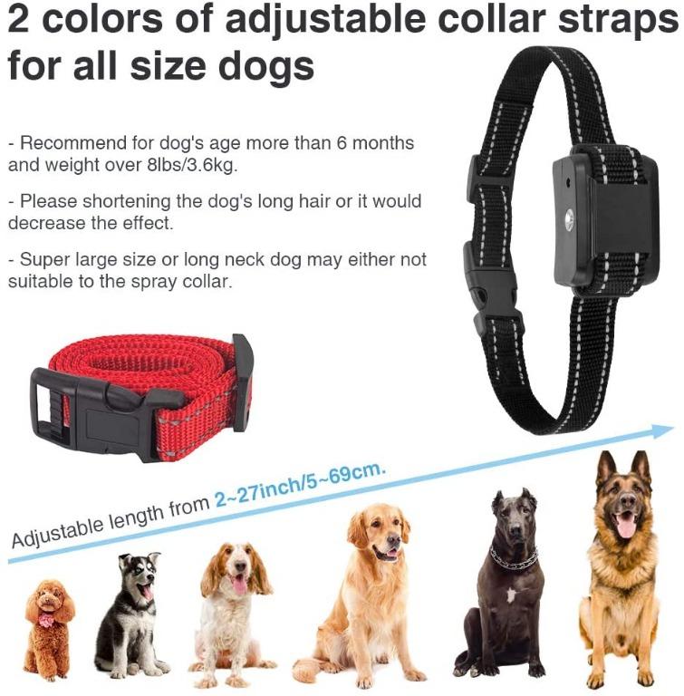 Queenmew dog bark collar clearance