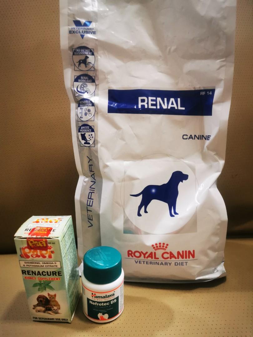 Royal Canin Renal Renacure Bundle Pets Supplies Pet Food On Carousell