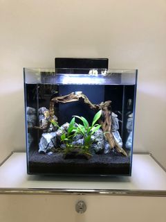 (Category: ) located in . Submitted by deanpm (Listing ID 1054955989, Image 1). Description: .