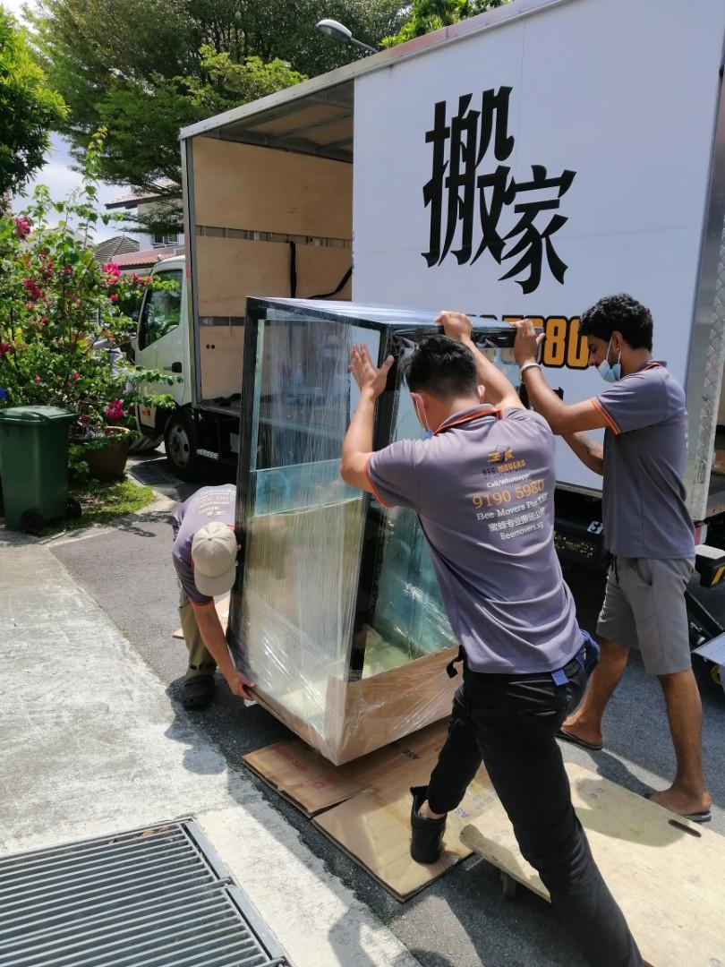 Best fish tank mover movers, Home Services, Movers & Delivery on Carousell