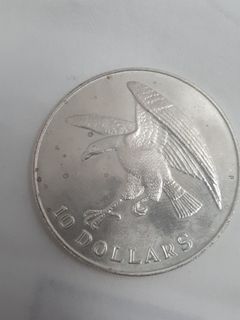（分類：）位於 。 由 prithvi123 提交（商品編號 1054943934，圖片 1）。簡介： 。
