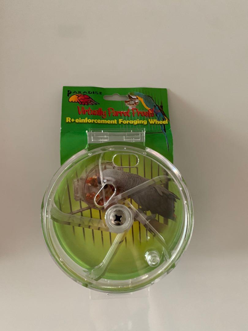 Parrot Foraging Wheel