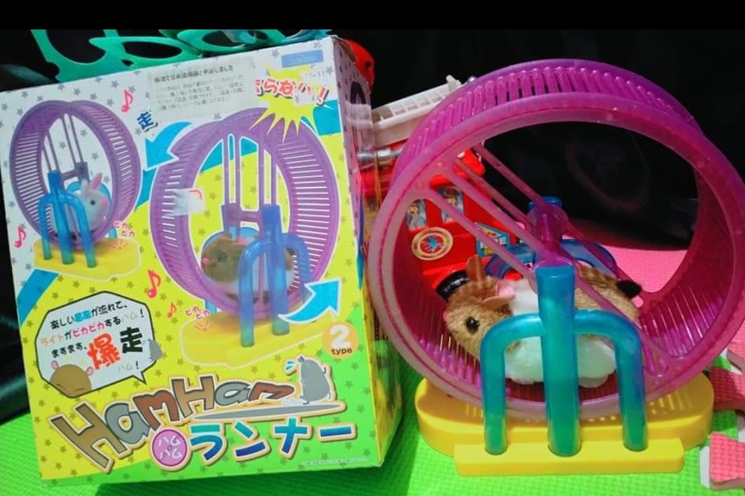 battery operated hamster
