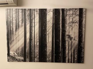 (Category: ) located in . Submitted by ktssss (Listing ID 1055100779, Image 1). Description: .