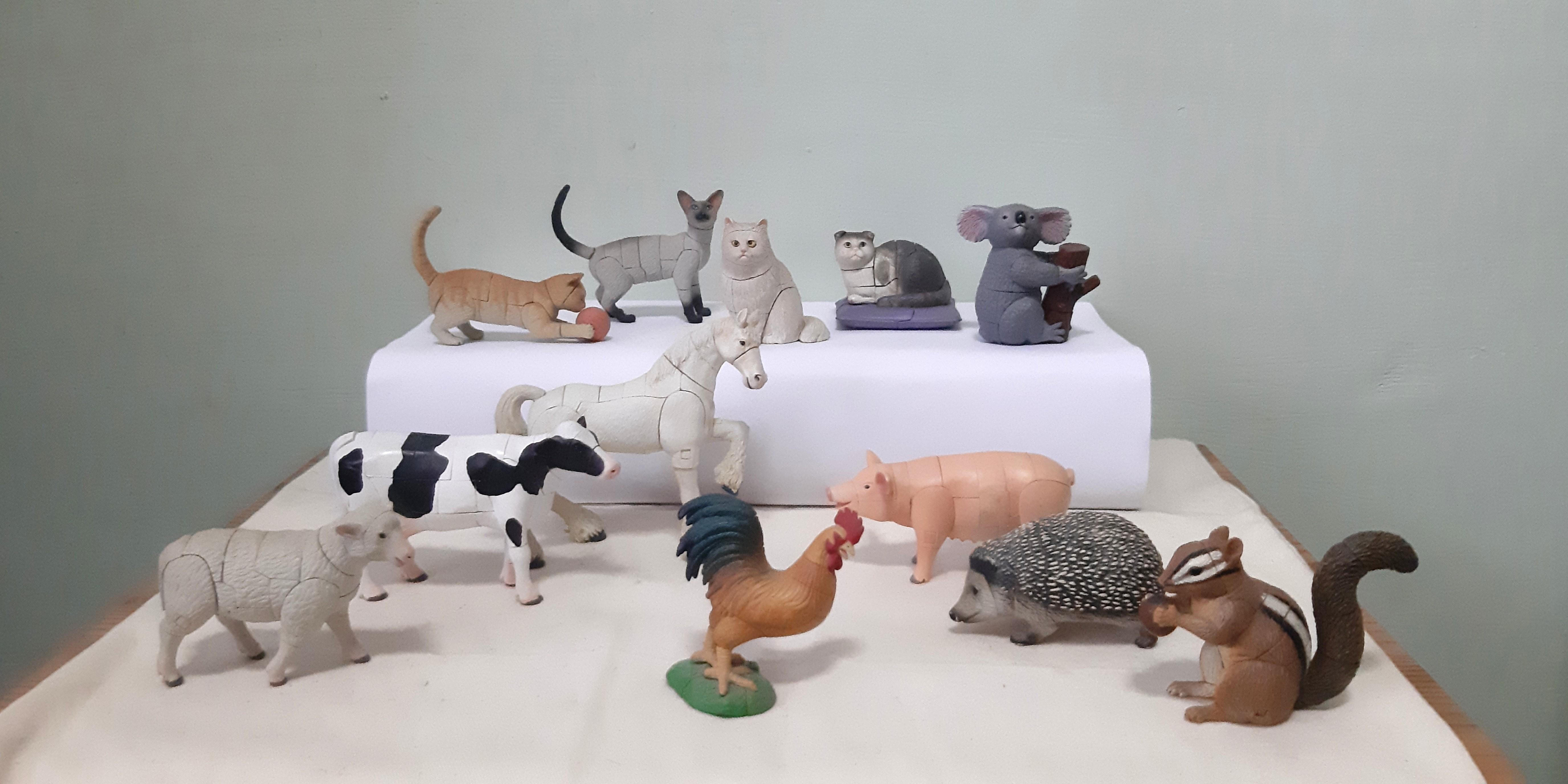 4d Animal Puzzles 4D Animal Puzzles, Hobbies Toys, Toys Games On