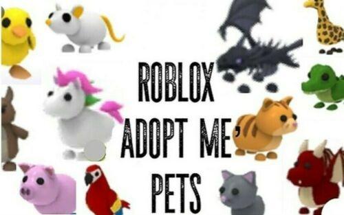 Adopt Me Pets I Ll Find For You Hobbies Toys Toys Games On Carousell - nyan cat roblox adopt me