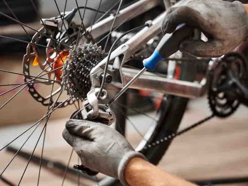 Bike check up shop