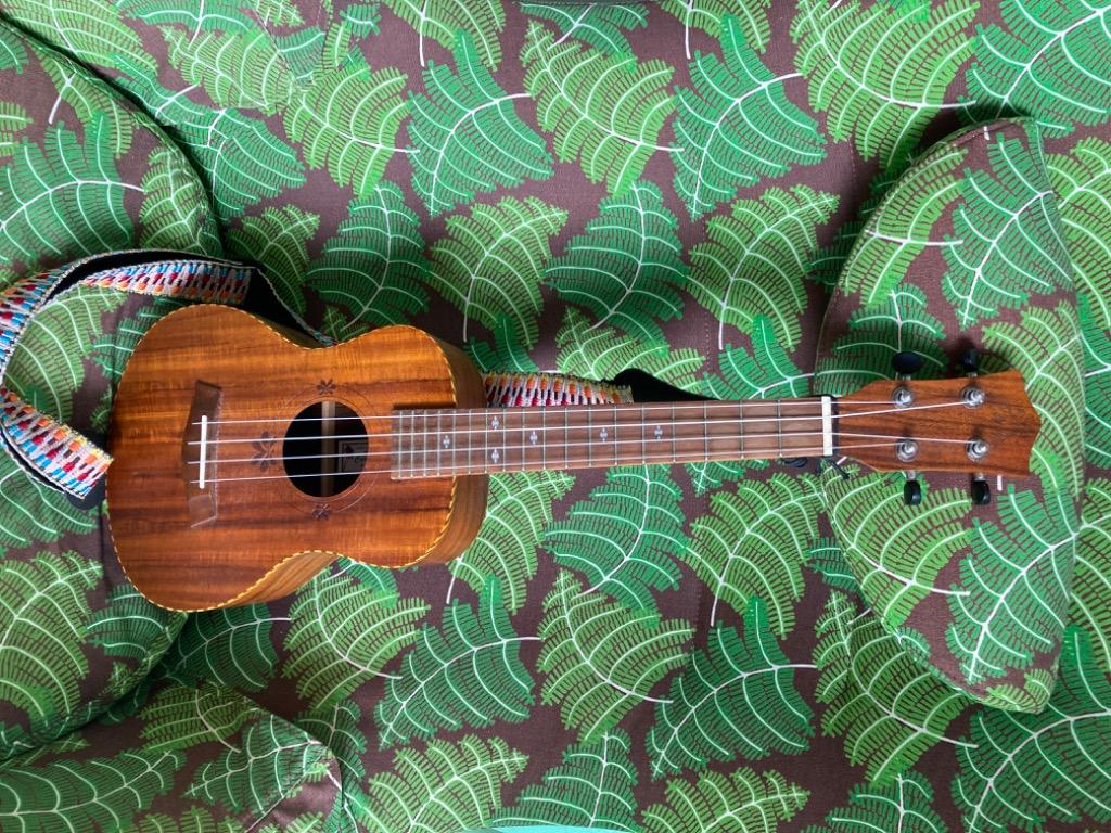 Carlos 2025 concert ukulele