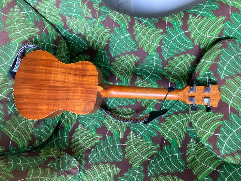 Carlos Concert Ukulele Hobbies Toys Music Media Musical