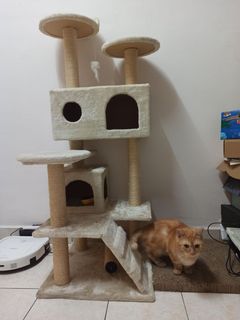 (Category: ) located in . Submitted by smartcat24 (Listing ID 1055311568, Image 1). Description: .