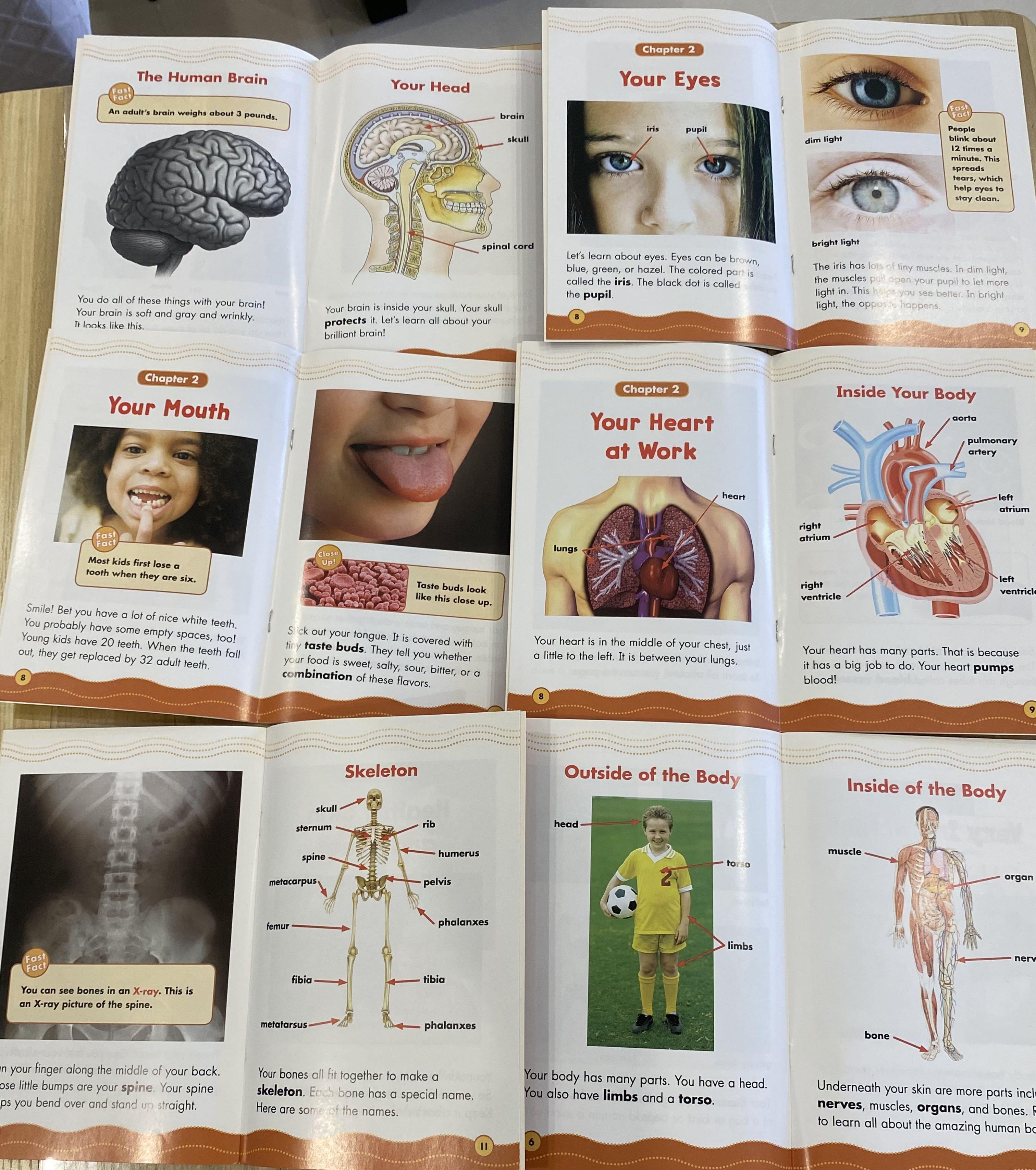 Science Vocabulary Readers Scholastic, Hobbies & Toys, Books