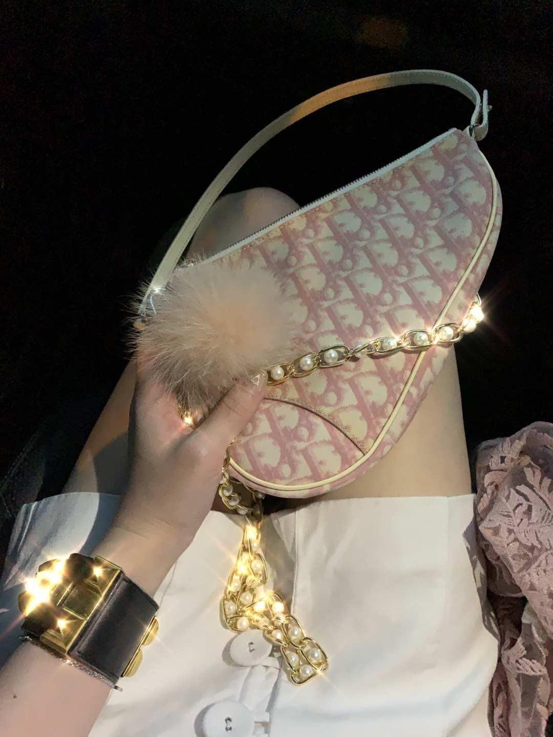 Kylie jenner dior saddle bag cheap
