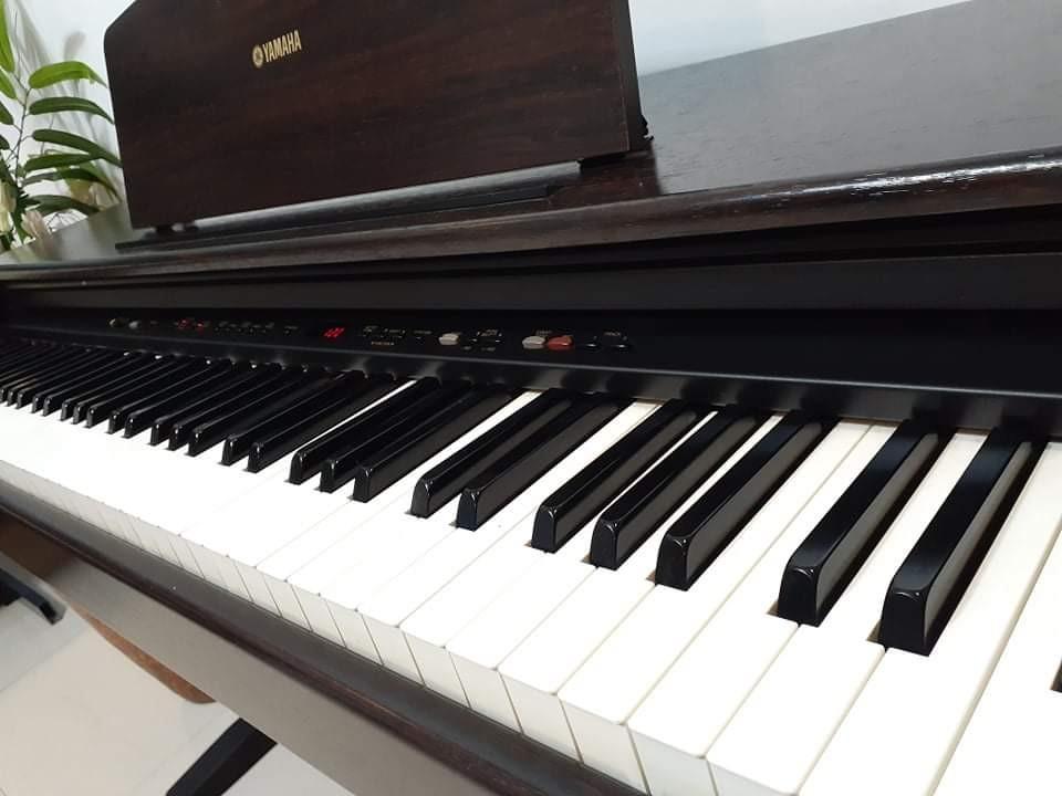Yamaha Digital Piano YDP101, Hobbies & Toys, Music & Media, Musical