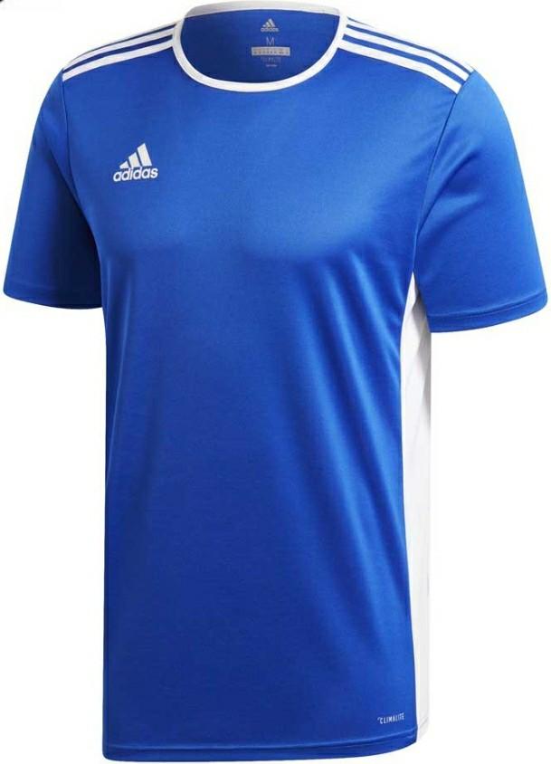 Entrada jersey adidas clearance