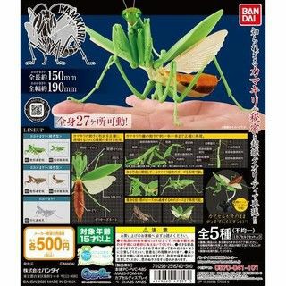 （分類：）位於 。 由 syctc 提交（商品編號 1055523345，圖片 1）。簡介： 。
