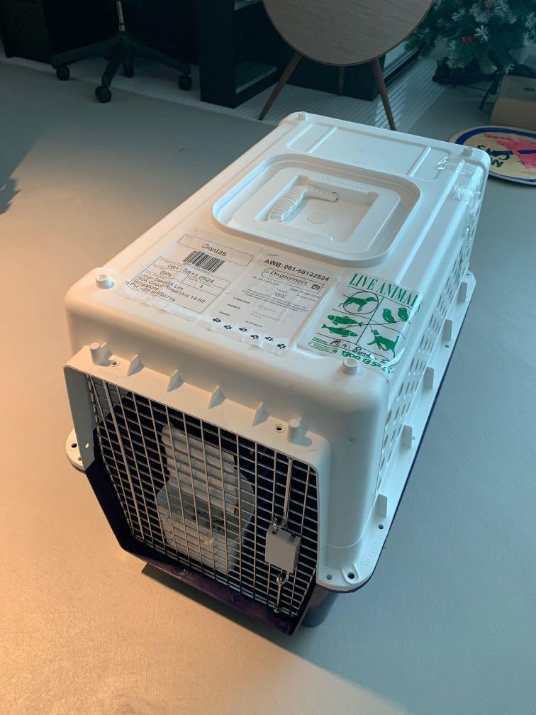 Electronic shop dog crate