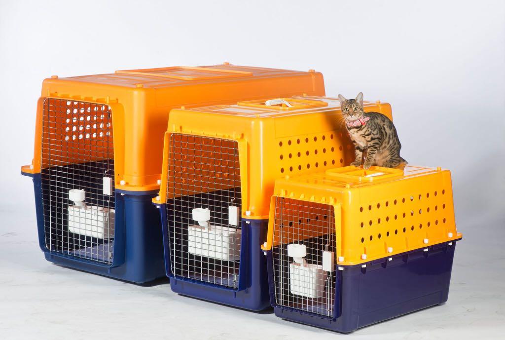 Pp60 dog shop crate