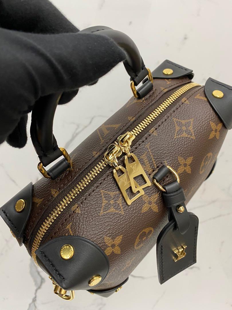 Louis Vuitton Petite Malle Review + Mod Shots, Reverse Monogram, LV Zoe  Wallet