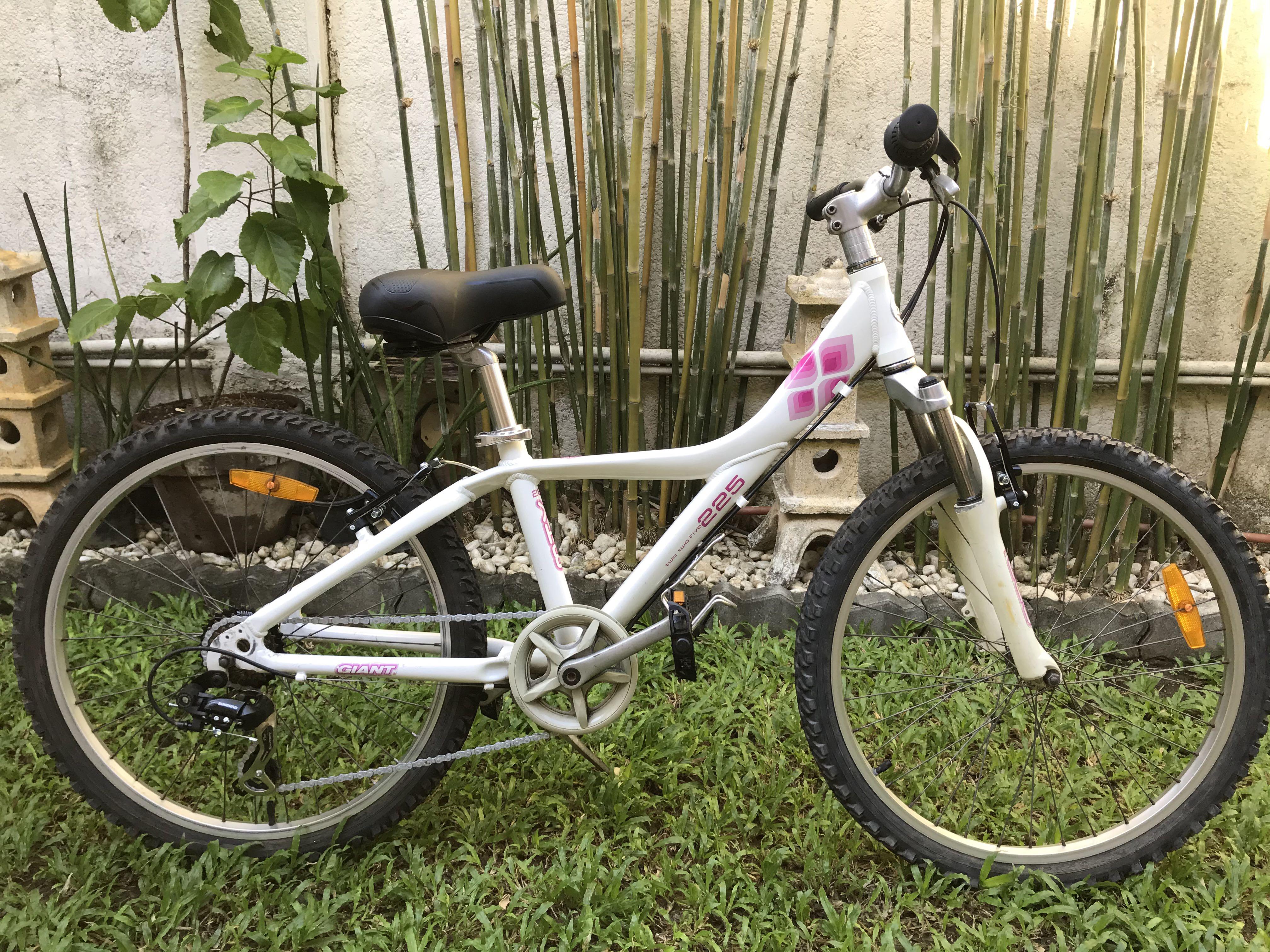 Original Giant MTX 225 Girls Sports Equipment Bicycles Parts