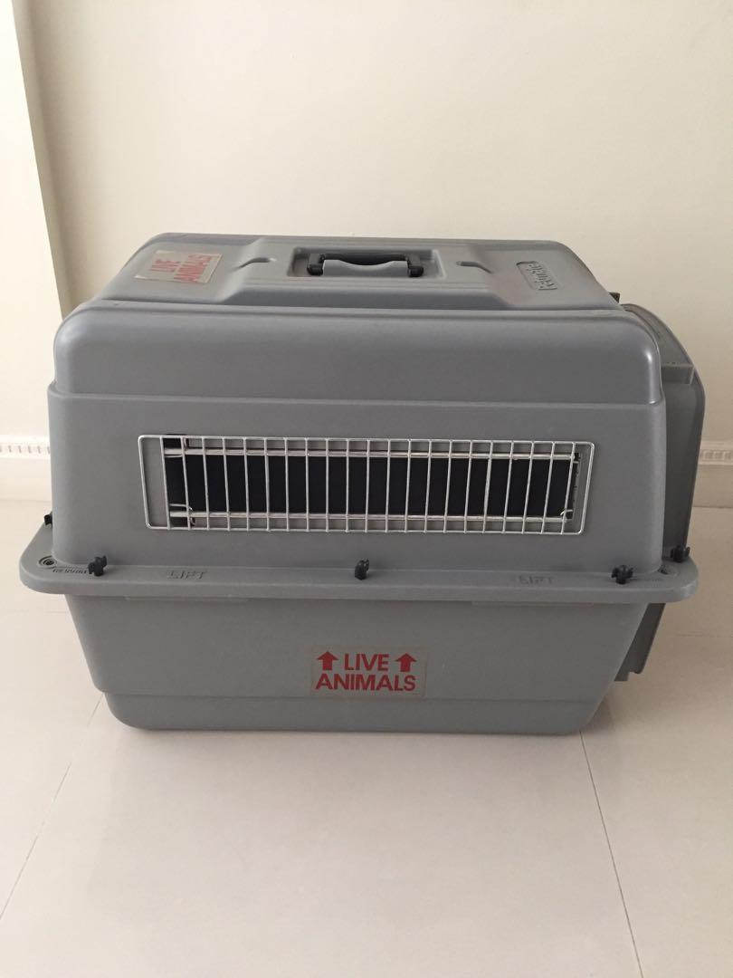 sky kennel large dimensions