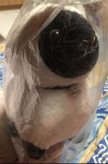 (Category: ) located in . Submitted by joycemay216 (Listing ID 1055604487, Image 1). Description: .