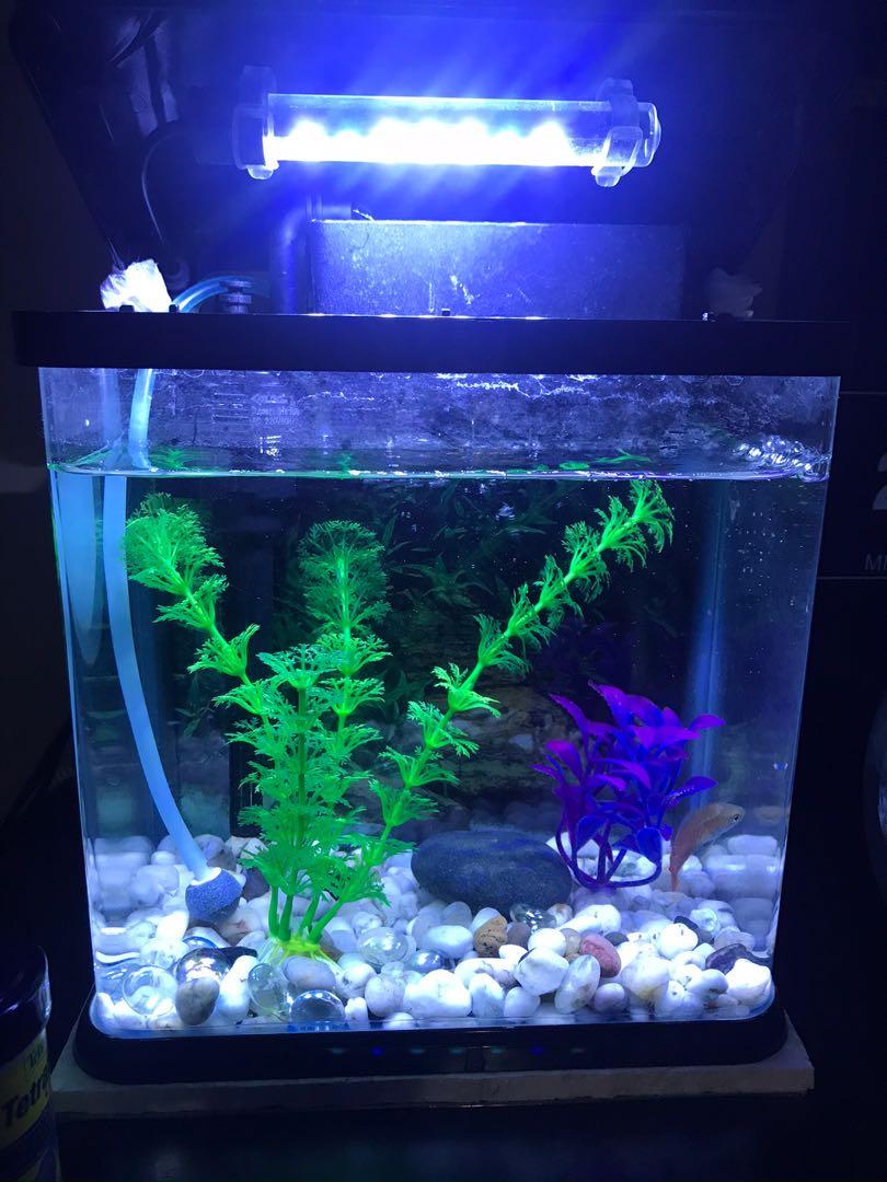 xilong small aquarium xq230aa