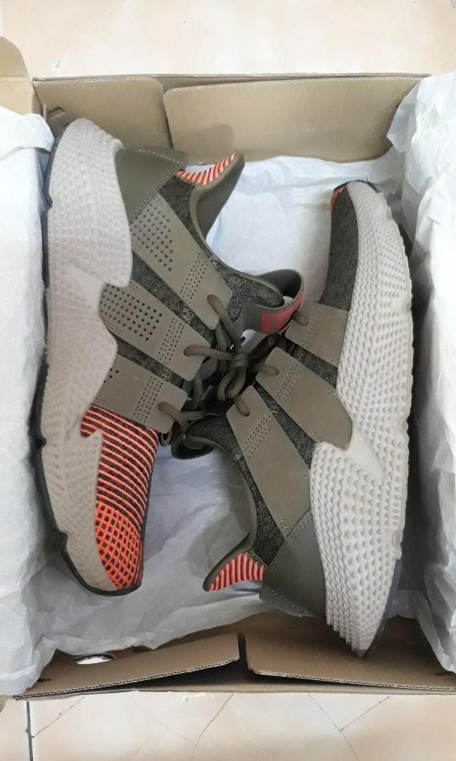 Adidas prophere traoli 2025