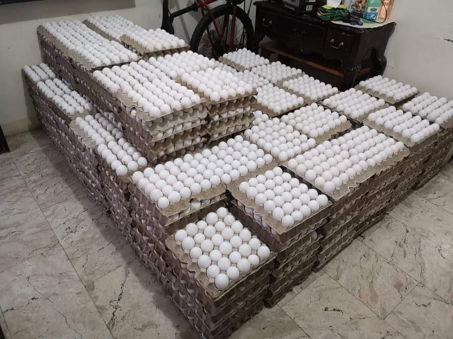 Egg (Category: Fresh Produce) located in Manila. Submitted by irylleyvelle (Listing ID 1055708630, Image 3). Description: Fresh Eggs everyday. P190/TRAY 30pcs (Pick-up Price in SANTA MARIA BULACAN) ☑️Assorted Sizes ☑️Mostly Large to Jumbo ☑️Guaranteed Fresh from Farm ☑️We also deliver within Santa Maria and nearby towns, with minimum requirements. Available Locations for pick-up ☑️Santa Maria, Bulacan ☑️Tandang Sora, Quezon City ☑️C3, Caloocan Ci